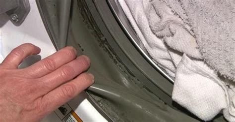 Is Your Front-Load Washer Hiding A Dirty Secret? - CBS Chicago - CBS News