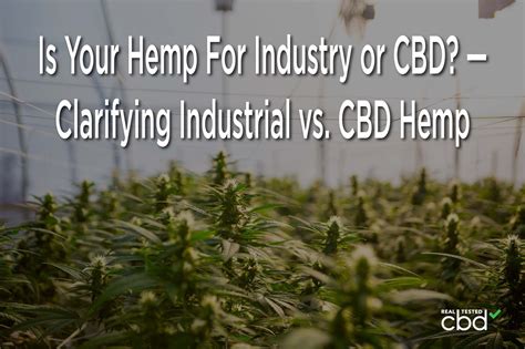 Is Your Hemp For Industry or CBD? — Clarifying Industrial vs. CBD Hemp