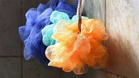 Is Your Loofah Just Covering You in Bacteria? - L