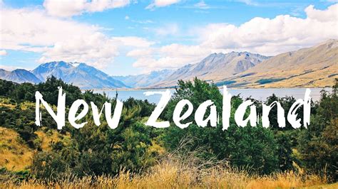 Is a cruise a good way to visit New Zealand?