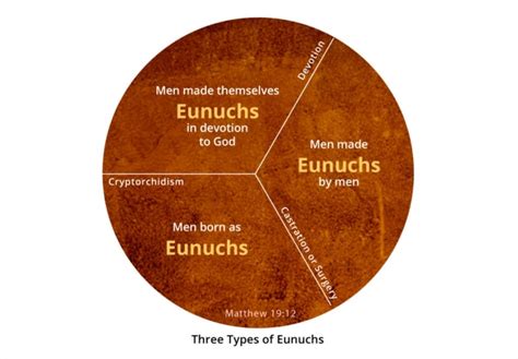 Is a eunuch a creation of God? What does the Bible say about …