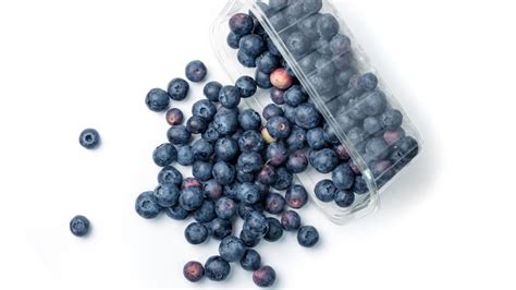 Is a huckleberry a blueberry? - Daily Justnow