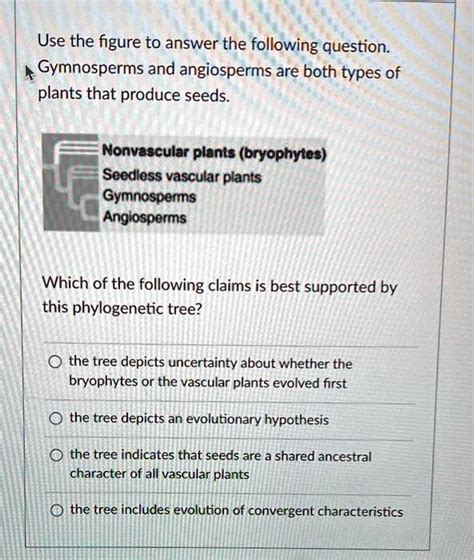 Is a mushroom a gymnosperm or angiosperm? - Answers