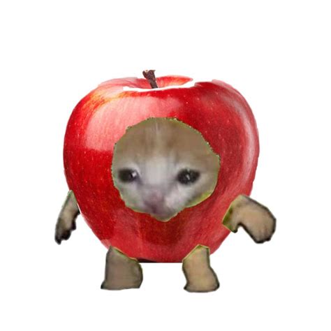 Apple flesh is a good source of calcium and fiber, which can be healthy for your cat to nibble. Apples also contain B-vitamins, and vitamins A, C and K. These vitamins and minerals have many functions including promoting a strong immune system. However, the seeds, stem and leaves of the apple contain cyanide and can be quite dangerous to your cat.. 