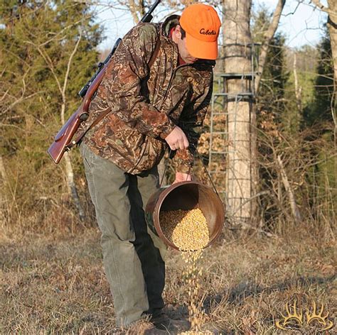 Despite the regulations, the DNR says hunters have been disobeying the baiting and feeding rules since 2002. It's one of their top issues every fall. "If you harvested a deer after you baited it ...
