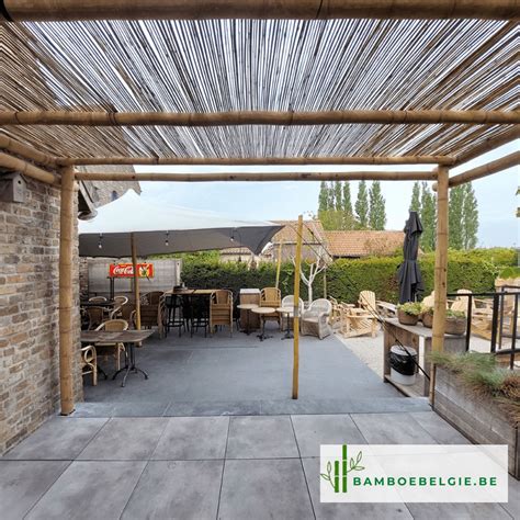 Is bamboe beter dan hout