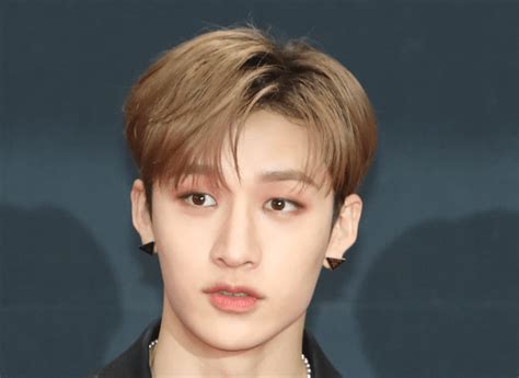 " Bang Chan is such a tease. He flirts with me, but won't marry me…so rude. If you keep doing this to me, I will just take you for myself." Stray Kids member, Bang Chan | To: HAN Oh Bang Chan, you don't even know the chaos you have created! Your browser does not support video.