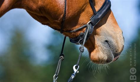 Is bitloos rijden beter