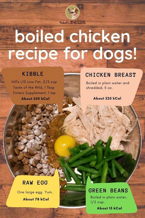 Boiled Chicken. Boiled chicken is a good option to feed your dog. In fact, boiled chicken and rice is a common remedy for dogs with digestive issues, and your …. 