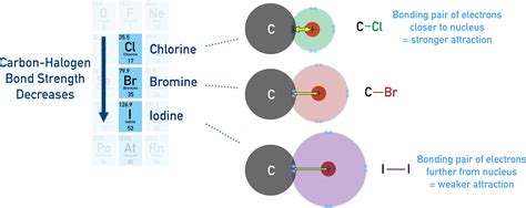 Is carbon a halogen. org%2FBookshelves%2FInorganic_Chemistry%2FChemistr...