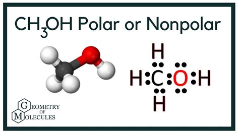 Determine whether the following molecule is polar or nonpolar: SCl_2. Classify each of the following molecules as polar or nonpolar. a. H2CO b. CH3OH c. CH2Cl2 d. CO2; Determine whether the following molecule is polar or nonpolar: CH_3SH. Is CH2Cl2 polar or nonpolar? Explain. Determine whether dichloromethane is polar or nonpolar. . Is ch3oh polar