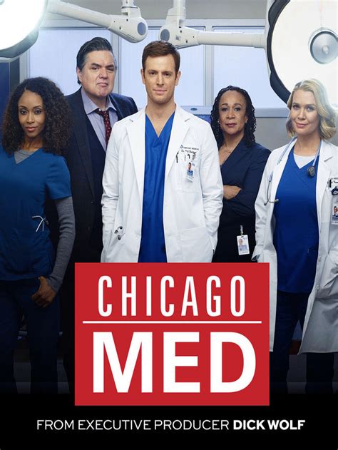 Is chicago med on netflix. 19 Dec 2019 ... From the creators of Childrens Hospital (starring Rob Huebel and Erinn Hayes) comes the totally-not-a-spinoff Medical Police (also starring ... 