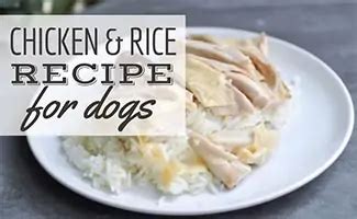 Is chicken and rice good for dogs. Things To Know About Is chicken and rice good for dogs. 