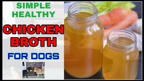 Is chicken broth good for dogs. Bone broth has been used in cooking for centuries, and is made by boiling bones and the connective tissues of animals in water for a long time — but is bone broth good for you? 