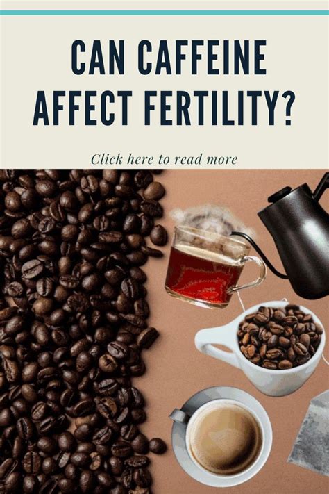 Is coffee bad when trying to conceive