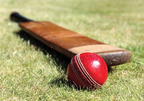 Is cricket at&t. One difference between male and female crickets is that male crickets have rough patches on their forewings that they scrape together to produce a chirping sound, whereas most fema... 