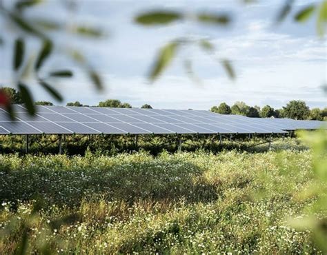 Is een zonnepark rendabel