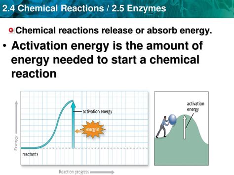 Is energy always released or absorbed during a chemical reaction ...