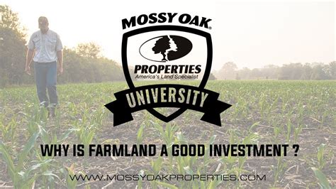Is farmland a good investment. Things To Know About Is farmland a good investment. 