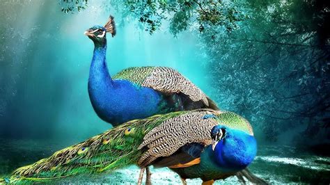 Is friends on peacock. Things To Know About Is friends on peacock. 