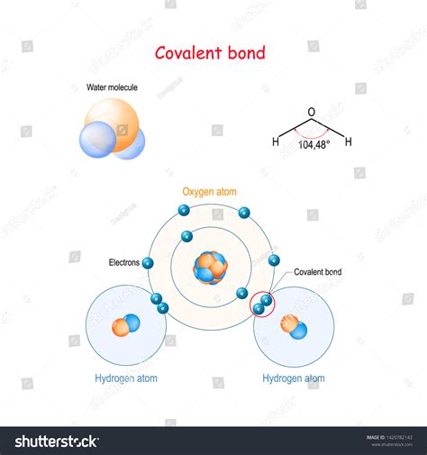Is h2o covalent bond. .  <a href=https://u0495249.isp.regruhosting.ru/gc63uv/seurat-har...