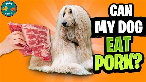 Is it OK to feed a pooch some pork?