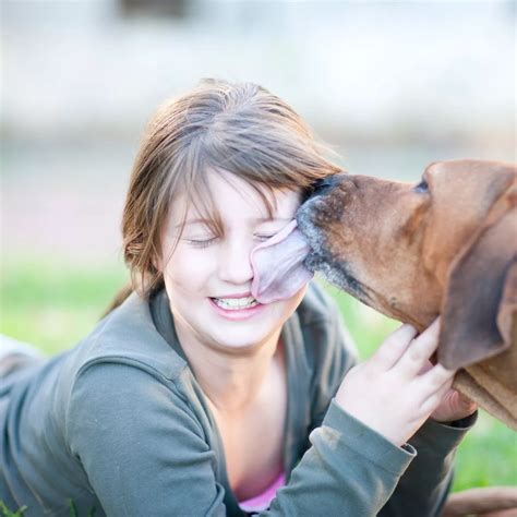 Is it OK to let your dog lick your plate? Here’s What to Do Next