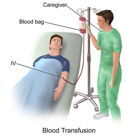 Is it a sin to donate plasma.  The procedure of transfusions or the ability to ...