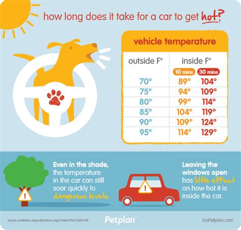 Is it legal to rescue a pet from a hot car in Illinois or Missouri?