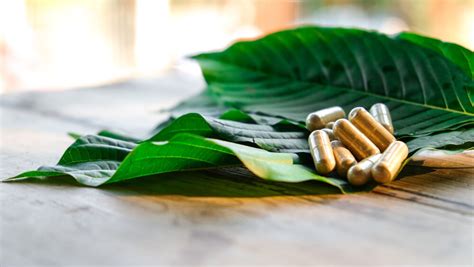 The GABA-ergic effects of kratom’s alkaloids lead to sedation and drowsiness, which can help users fall asleep when they otherwise might not be able to because of pain. GABA also relaxes muscles, so kratom can reduce muscle and joint-related pain [ 2 ]. 4. Kratom Has Anti-Inflammatory Actions.. 