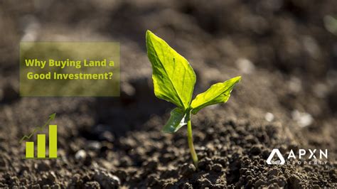 Is land a good investment. Things To Know About Is land a good investment. 
