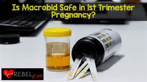 Is macrobid safe to take while pregnant
