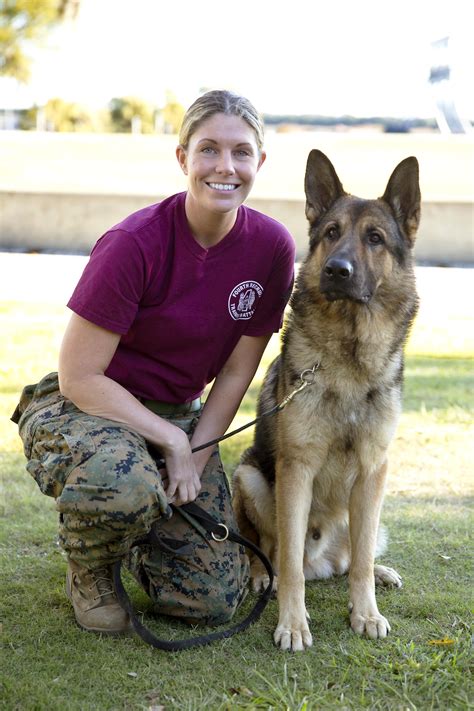 One such tale is that of Megan Leavey, a former US Marine whose bond with her military working dog, Rex, transcended the battlefield and touched the hearts of many. Join us as we delve into Megan’s extraordinary journey, filled with courage, sacrifice, and unwavering devotion. Megan’s Call to Duty. 