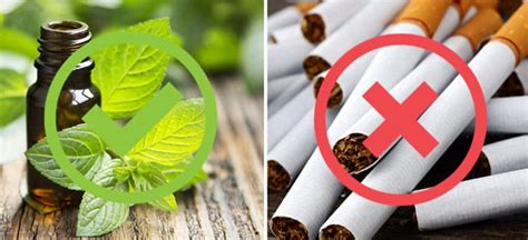 Is menthol bad for you. .  <a href=http://ask.dialtest.ru/fldv2/realtek-8822ce-driver-windows-...