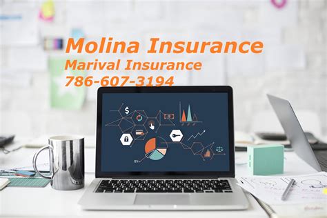 Molina Healthcare, Inc. engages in the provision of he