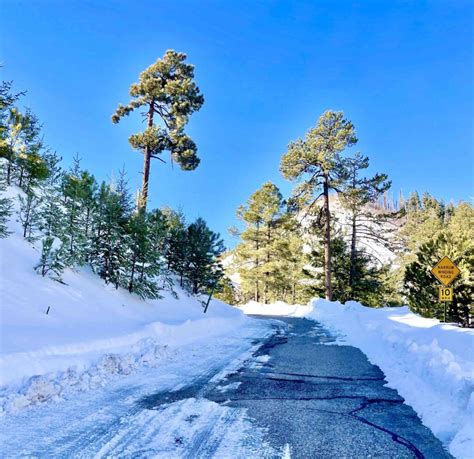 File photo - Mt. Lemmon on Dec. 13, 2022. TUCSON (KVOA) — The road to Mount Lemmon is now open, the Pima County Sheriff’s Office said Friday. Motorists …. 