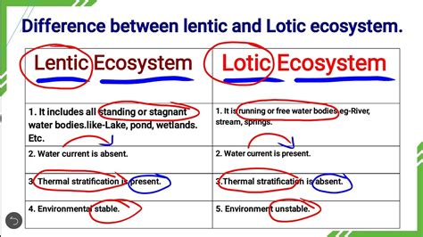 Is ocean lotic or lentic? - Quora