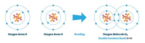 Is oxygen a metal.  Its molecules contain two oxygen atoms.  At standard ...