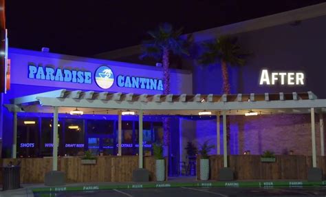 Is paradise cantina still open. Things To Know About Is paradise cantina still open. 