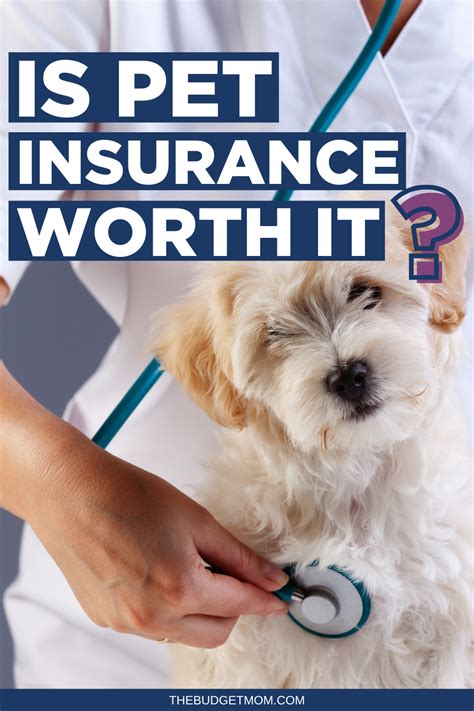 Is pet insurance worth it reddit. It is worth it because it changes your incentives and it gives you peace of mind. Owning a pet is not a strictly financial decision. If it was it would be cheaper to not have a pet, or to have a pet without insurance, and then put them down if any procedure costs more than it would cost to adopt a new pet. 