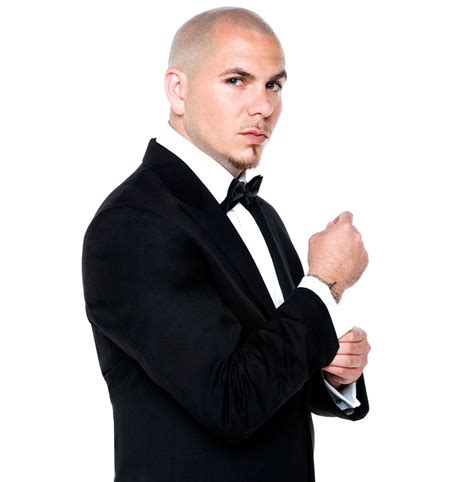 Is pitbull a nice guy