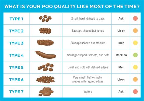 Is pooping 5 times a day normal? - Thesocialselect.com