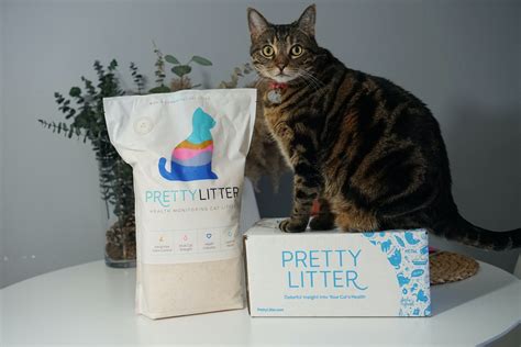 Is pretty litter worth it. Dubbed as “the world’s smartest cat litter,” Pretty Litter is a convenient and affordable product that gives you peace of mind and also checks all the boxes in a quality cat litter. It’s one of the most expensive cat litters there is but for the price of your cat’s health, some cat parents think it’s worth the hefty price. 