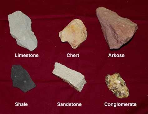 Some non-clastic rocks are limestone, chert, dolostone, gypsum, halite (rock salt), diatomite, and chalk. Organic sedimentary rocks form from the build up and decay of plant and animal material. This usually forms in swamp regions in which there is an abundant supply of growing vegetation and low amounts of oxygen. . 