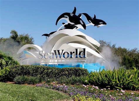 Is seaworld still open. Sep 12, 2022 · After a $40 million investment that expanded the park and added 20 rides, Busch Entertainment and Six Flags started conversations about merging Sea World and Six Flags Ohio. The idea was to compete against two other formidable Ohio parks, King's Island and Cedar Point. After some discussion, Six Flags purchased the neighboring SeaWorld Ohio ... 