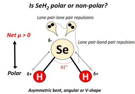 1. Every sufficiently asymmetric molecule will be polar, but some 