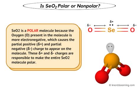 Is seo2 polar or nonpolar. Things To Know About Is seo2 polar or nonpolar. 