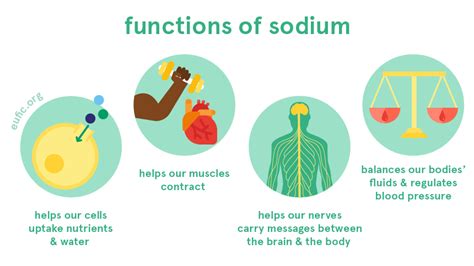 Is sodium a salt.  It helps with the function of .  Sodium is an essential Rock salt (hal...