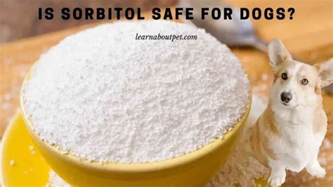 Is sorbitol safe for dogs. Things To Know About Is sorbitol safe for dogs. 