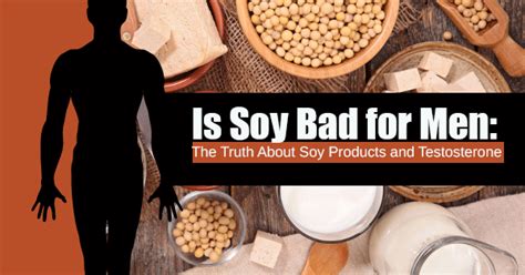 Is soy bad for men. Things To Know About Is soy bad for men. 